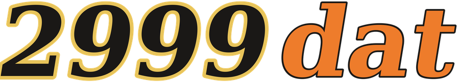 2999dat logo